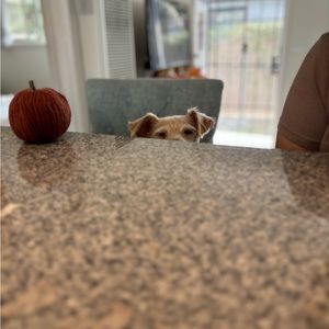 Meet your Posher, Karina